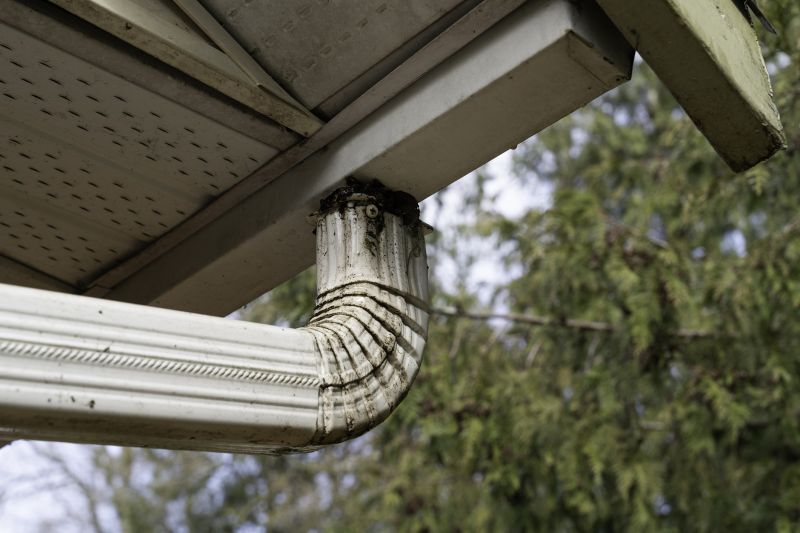 Downspout Snaking in Frederick, MD