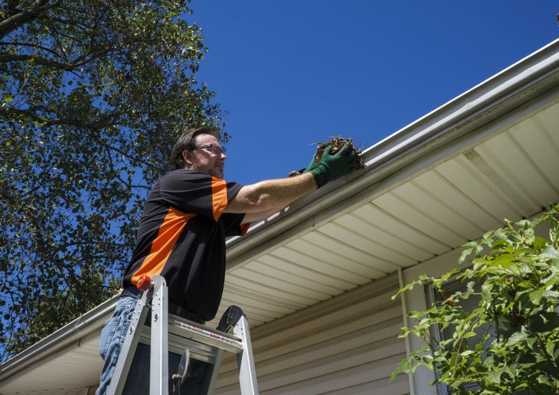 Eavestrough Clearing in Monmouth County, NJ