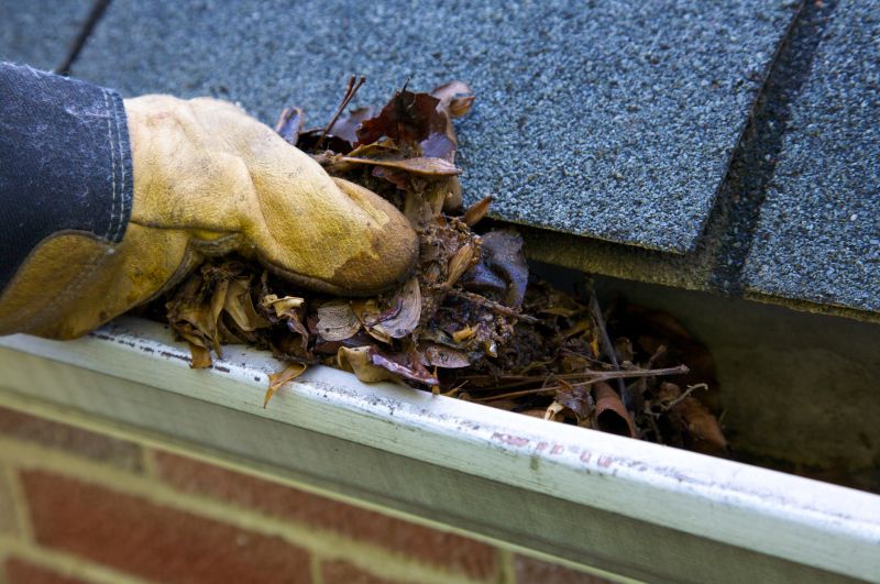 Gutter Blockage Removal in Monmouth County, NJ