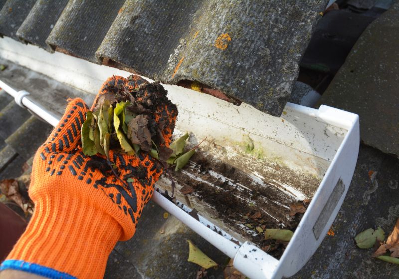 Gutter Cleaning in Frederick, MD