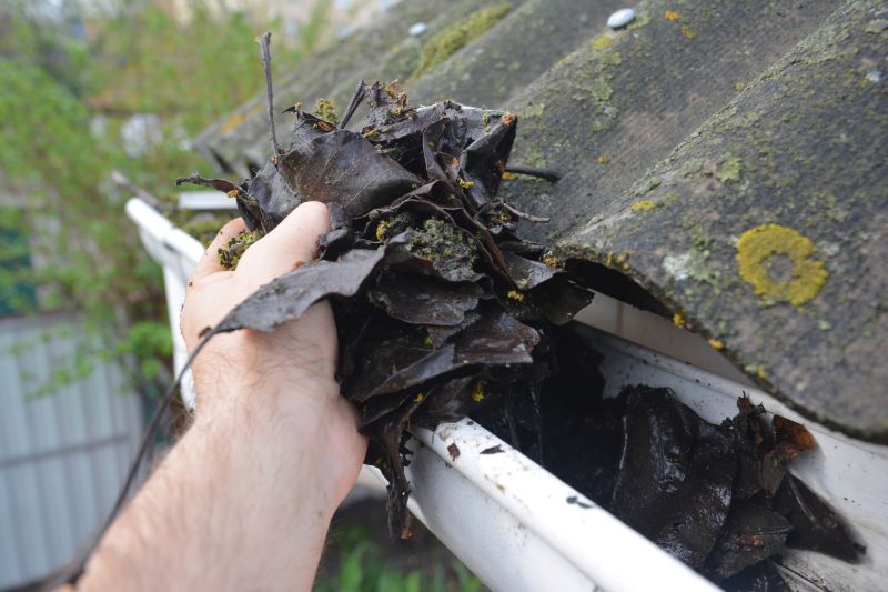 Gutter Cleaning in Longmont, CO