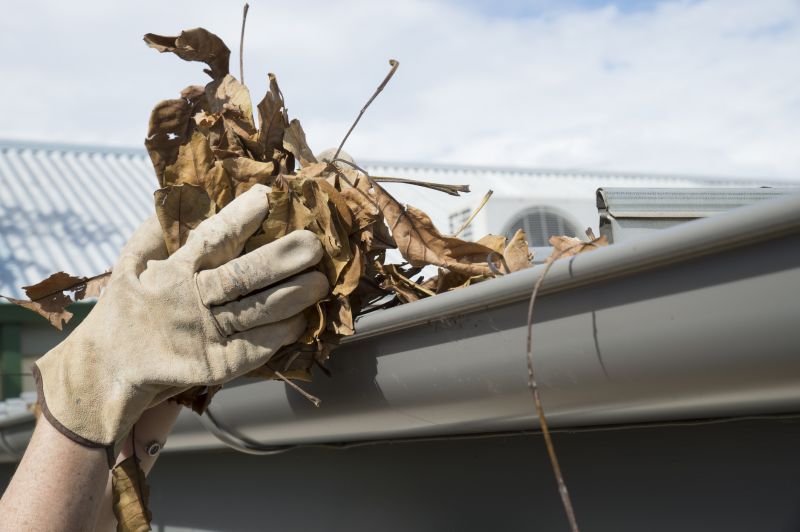 Gutter Leaf Clearing in Arvada, CO