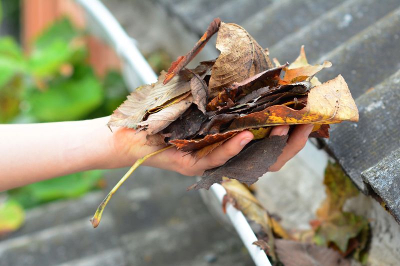 Gutter Leaf Clearing in Baltimore, MD