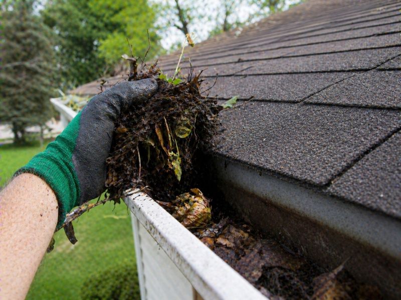 Gutter Leaf Clearing in Richmond, VA
