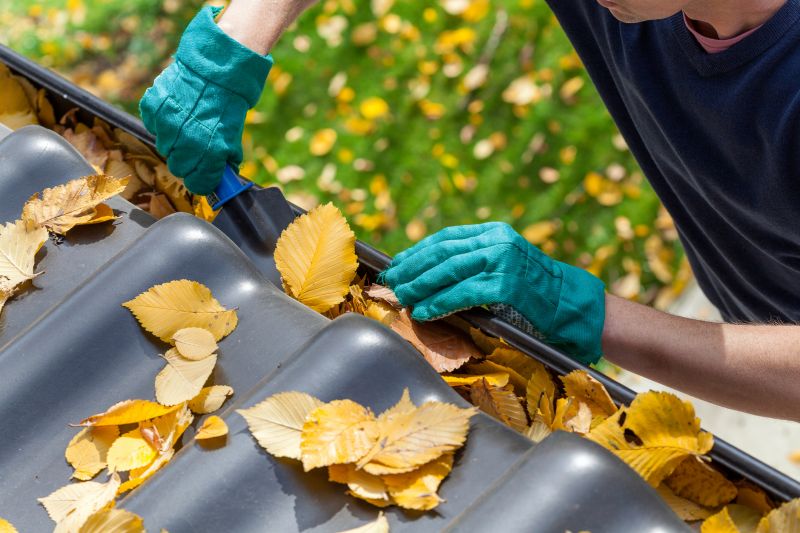 Gutter Leaves Removal in Richmond, VA