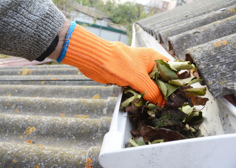 Gutter Leaves Removal in Morris County, NJ