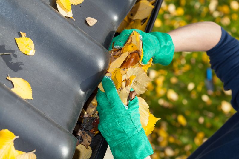 Gutter Leaves Removal in Bergen County, NJ