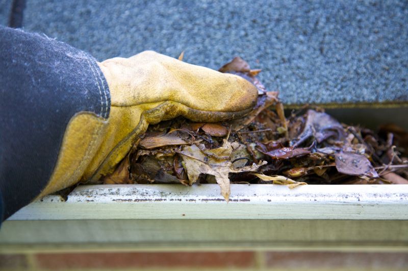 Gutter Pine Needle Removal in Baltimore, MD