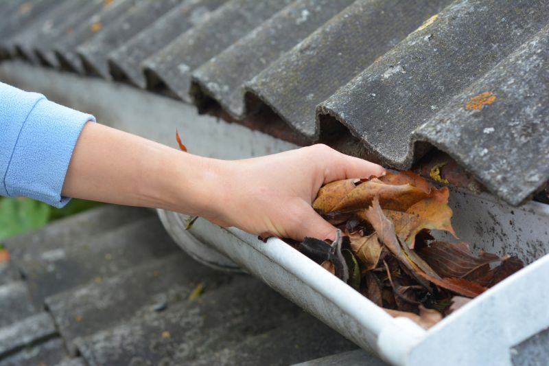 Roof Gutter Cleaning in Longmont, CO