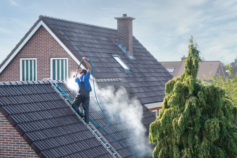 Roof Mildew Cleaning in Vancouver, WA